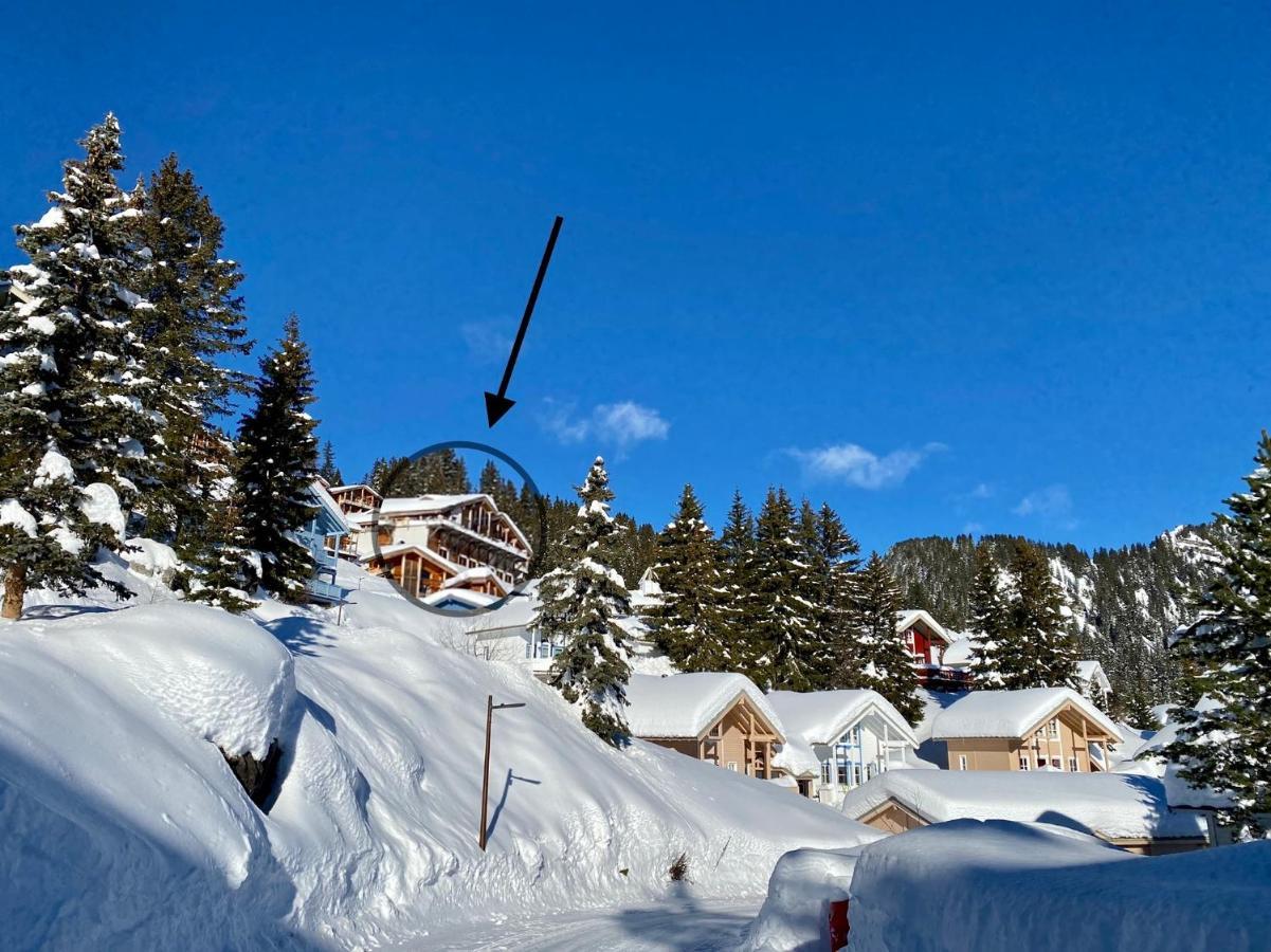 Vue Panoramique Sur Les Montagnes Plein Sud - T2 Skis Aux Pieds, Piscine & Spa Flaine Dış mekan fotoğraf